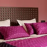 El Acebo De Casa Muria * Bisaurri