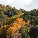 El Acebo De Casa Muria * Bisaurri