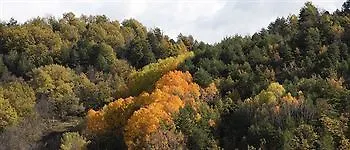 El Acebo De Casa Muria * Bisaurri