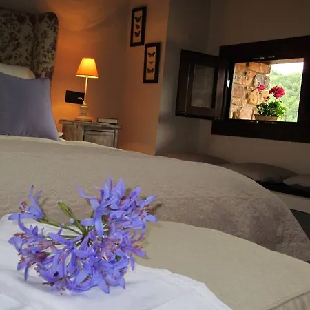 El Acebo De Casa Muria Casa rural Bisaurri
